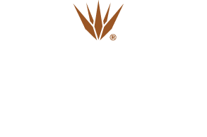 Casa Loy Logo